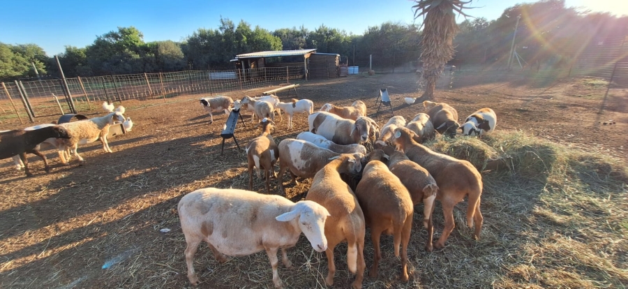 5 Bedroom Property for Sale in Koster North West